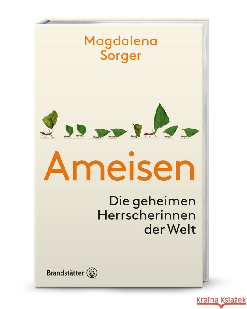 Ameisen Sorger, Magdalena 9783710608032