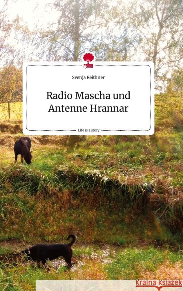 Radio Mascha und Antenne Hrannar. Life is a Story - story.one Reithner, Svenja 9783710821646