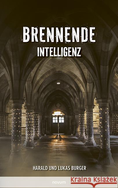 Brennende Intelligenz Harald Und Lukas Burger 9783711600530