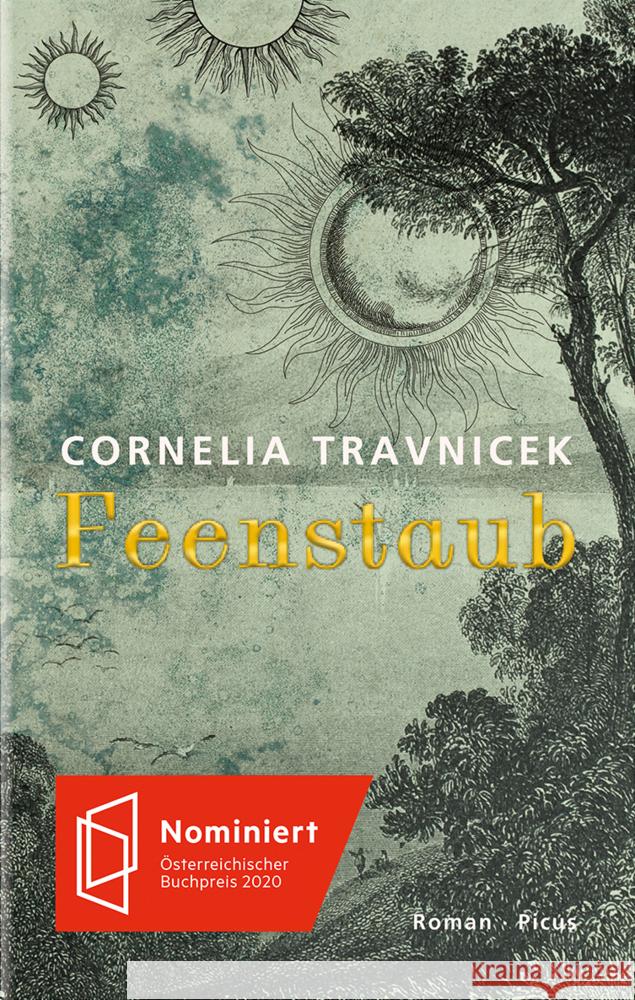 Feenstaub : Roman Travnicek, Cornelia 9783711720900 Picus Verlag