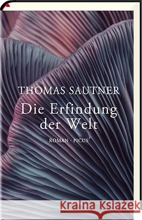 Die Erfindung der Welt Sautner, Thomas 9783711721037 Picus Verlag