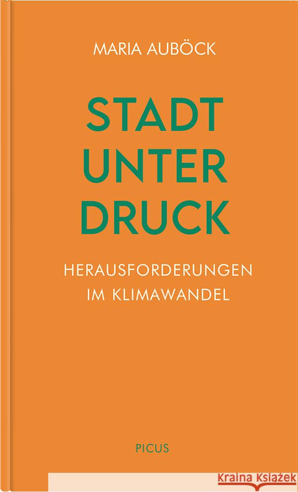 Stadt unter Druck Auböck, Maria 9783711730367 Picus Verlag