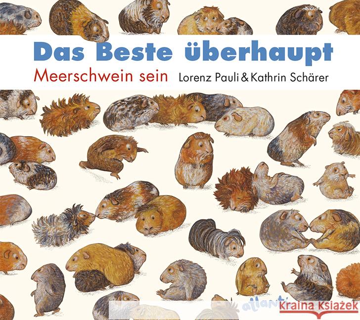 Das Beste überhaupt, Miniausgabe : Meerschwein sein Pauli, Lorenz 9783715207735