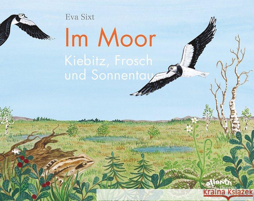 Im Moor - Kiebitz, Frosch und Sonnentau Sixt, Eva 9783715207841 Atlantis, Orell Füssli