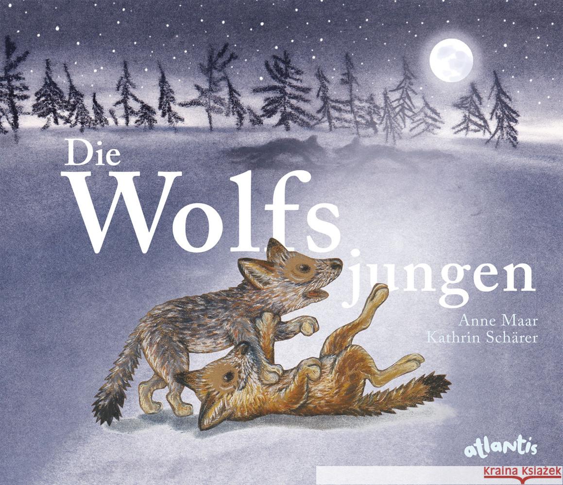 Die Wolfsjungen Maar, Anne 9783715208480 Atlantis Zürich