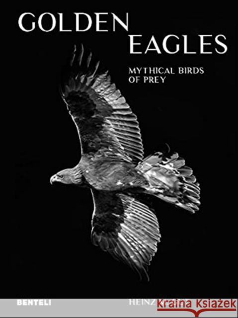 Golden Eagles: Legendary Birds of Prey Heinz M. Gut 9783716518663 Benteli Verlags