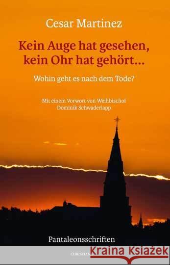 Kein Auge hat gesehen, kein Ohr hat gehört ... Martinez, Cesar 9783717113287 Christiana-Verlag