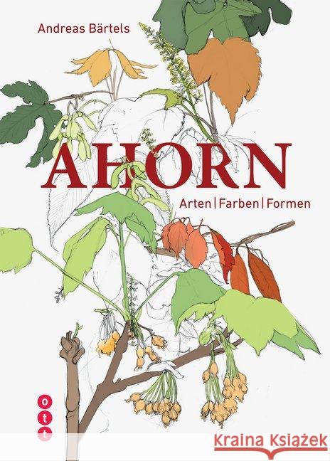 Ahorn : Arten, Farben, Formen Bärtels, Andreas 9783722501734