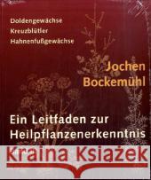 Ein Leitfaden zur Heilpflanzenerkenntnis. Bd.3 : Doldengewächse, Kreuzblütler, Hahnenfußgewächse Bockemühl, Jochen 9783723511695