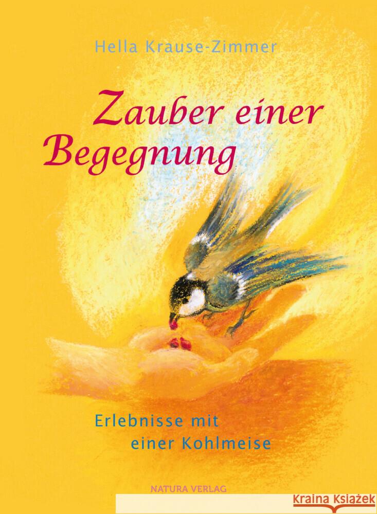 Zauber einer Begegnung : Erlebnisse mit einer Kohlmeise Krause-Zimmer, Hella 9783723514948 Natura-Verlag