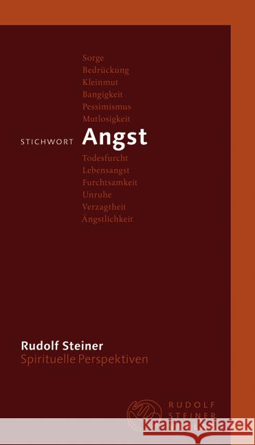 Stichwort Angst Steiner, Rudolf Gut, Taja  9783727449024 Rudolf Steiner Verlag