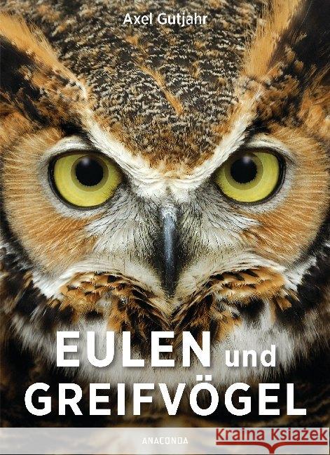 Eulen und Greifvögel Gutjahr, Axel 9783730606919