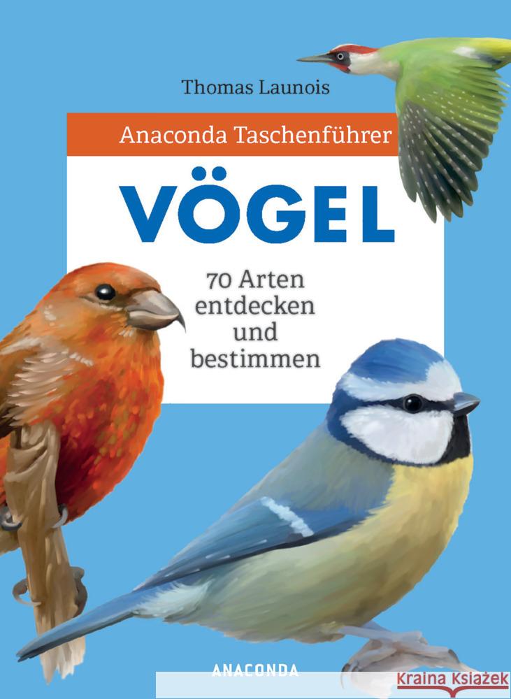 Anaconda Taschenführer Vögel : 70 Arten entdecken und bestimmen Launois, Thomas 9783730608272 Anaconda