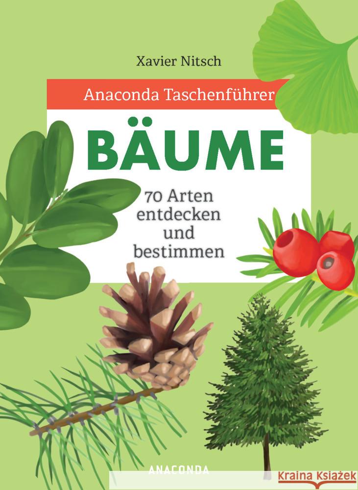 Anaconda Taschenführer Bäume : 70 Arten entdecken und bestimmen Nitsch, Xavier 9783730608302 Anaconda