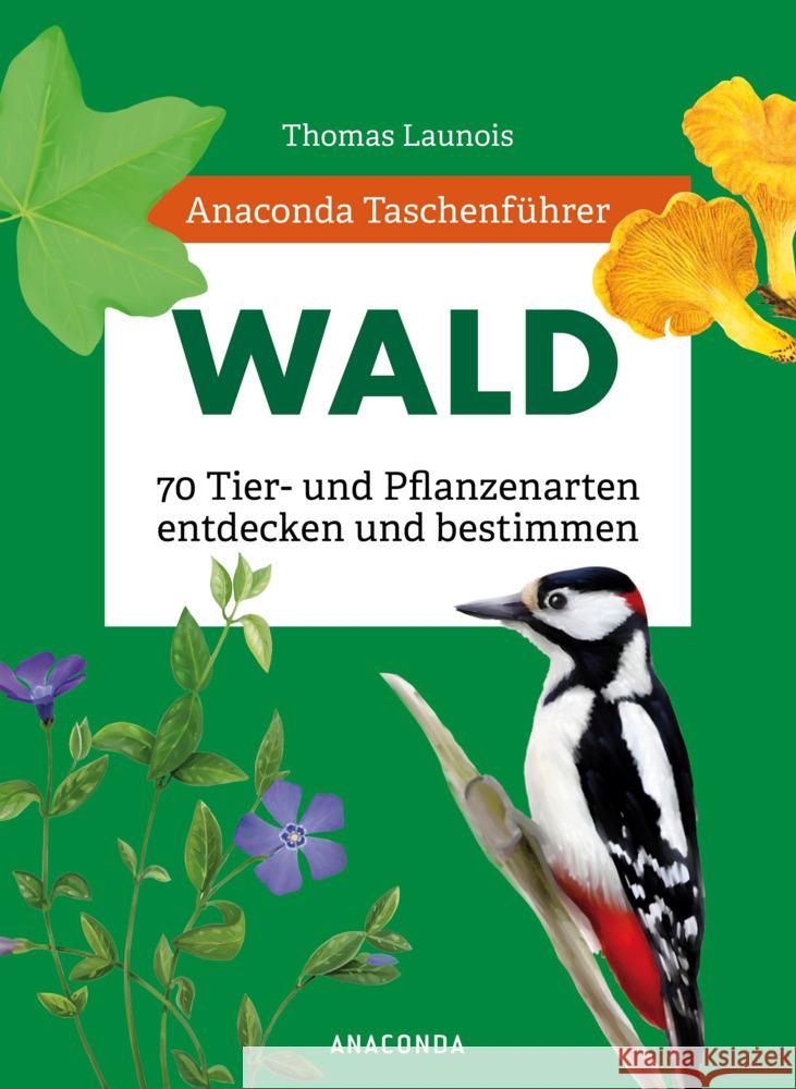 Anaconda Taschenführer Wald Launois, Thomas, Nitsch, Xavier, Padié, Sophie 9783730611760 Anaconda