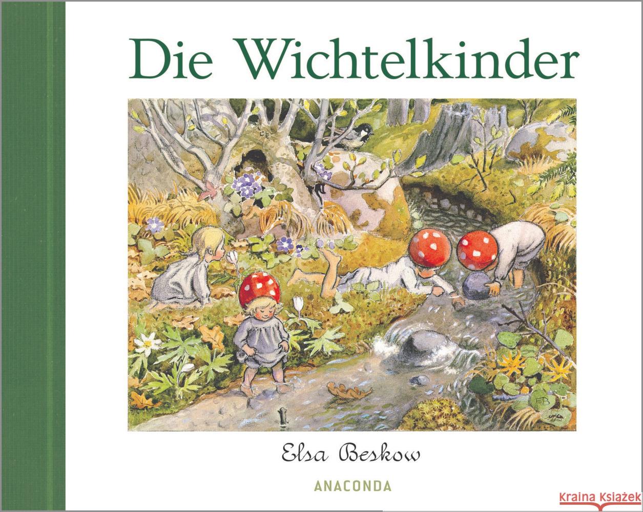 Die Wichtelkinder Beskow, Elsa 9783730613597