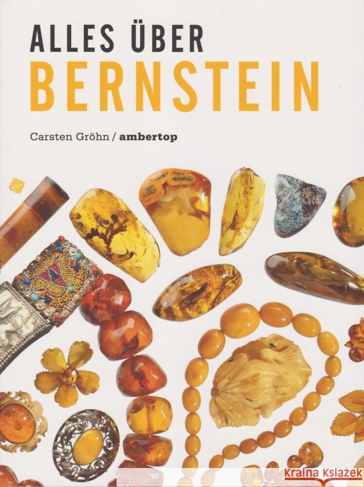 Alles über Bernstein Gröhn, Carsten 9783730821459