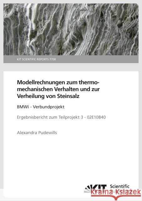 Modellrechnungen zum thermomechanischen Verhalten und zur Verheilung von Steinsalz: BMWi - Verbundprojekt Ergebnisbericht zum Teilprojekt 3 - 02E10840 Pudewills, Alexandra 9783731505426 KIT Scientific Publishing