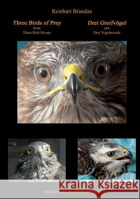 Three Birds of Prey - Drei Greifvögel Brandau, Reinhart 9783732234059