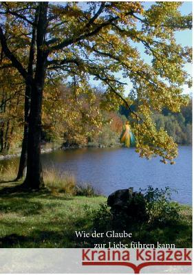 Wie der Glaube zur Liebe führen kann: Gedichte und Philosophien Danzl, Bernhard 9783732242108