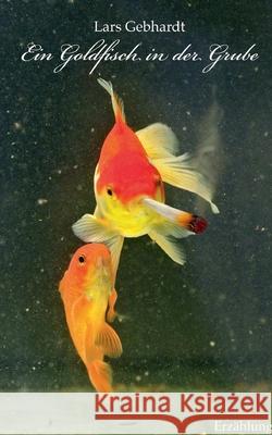 Ein Goldfisch in der Grube Lars Gebhardt 9783732282678