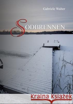 Sodbrennen Gabriele Walter 9783732299676 Books on Demand