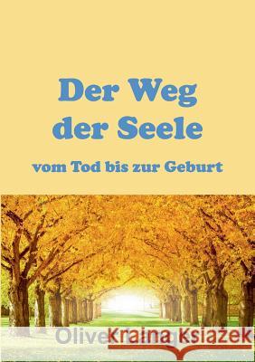 Der Weg der Seele vom Tod bis zur Geburt Oliver Langer 9783732332595 Tredition Gmbh