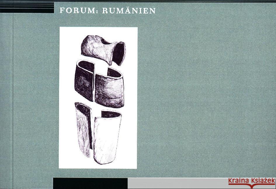 Den Körper schreiben - Poetiken des Körpers in der Prosa der rumänischen Moderne Dondorici, Iulia 9783732902897 Frank & Timme