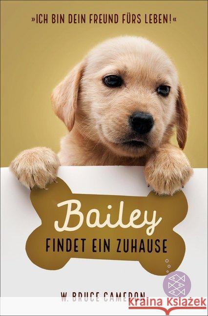 Bailey findet ein Zuhause Cameron, W. Bruce 9783733503758