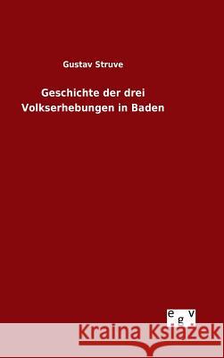 Geschichte der drei Volkserhebungen in Baden Gustav Struve 9783734004209 Salzwasser-Verlag Gmbh