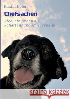 Chefsachen: Rico - ein Leben als Schattenhund im Tierheim Boam, Heike 9783734500893