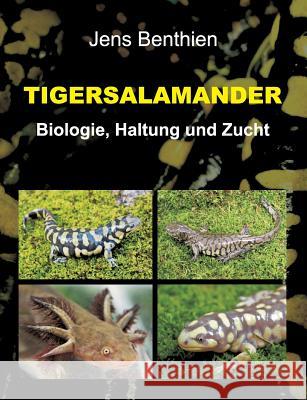 Tigersalamander Jens Benthien 9783734535833 Tredition Gmbh