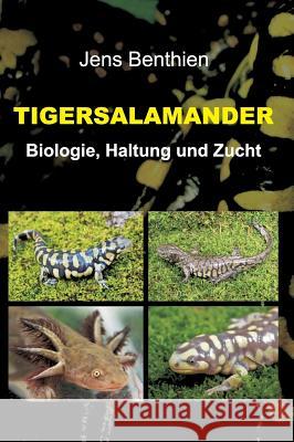 Tigersalamander Benthien, Jens 9783734535840 Tredition Gmbh