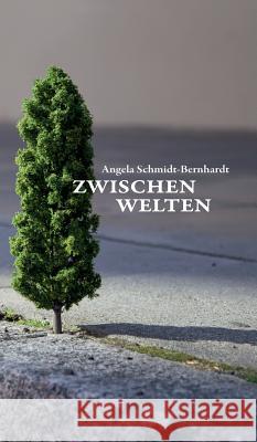 Zwischenwelten Angela Schmidt-Bernhardt 9783734539596