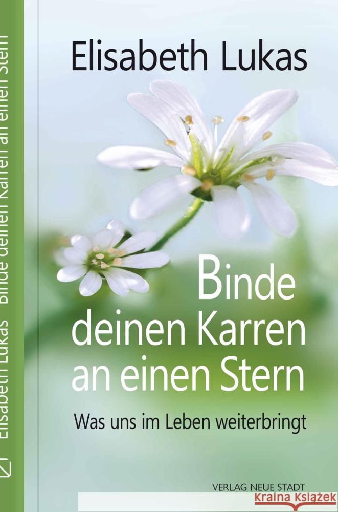 Binde deinen Karren an einen Stern Lukas, Elisabeth 9783734612695 Neue Stadt