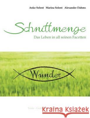 Schnittmenge Wunder: Das Leben in all seinen Facetten Selent, Anke 9783734740633 Books on Demand