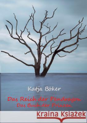 Das Reich der Pendragon: Das Buch der Prinzen Böker, Katja 9783734789625