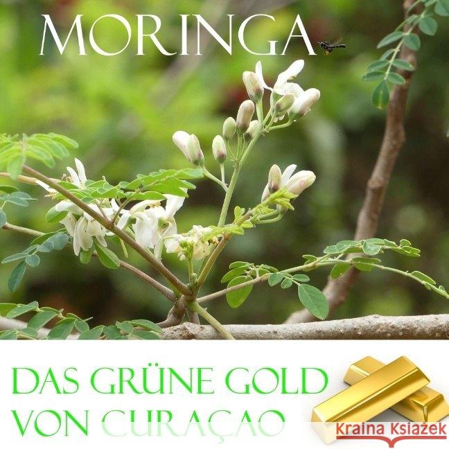 Das grüne Gold von Curacao: Moringa Elke Verheugen 9783734793011 Books on Demand