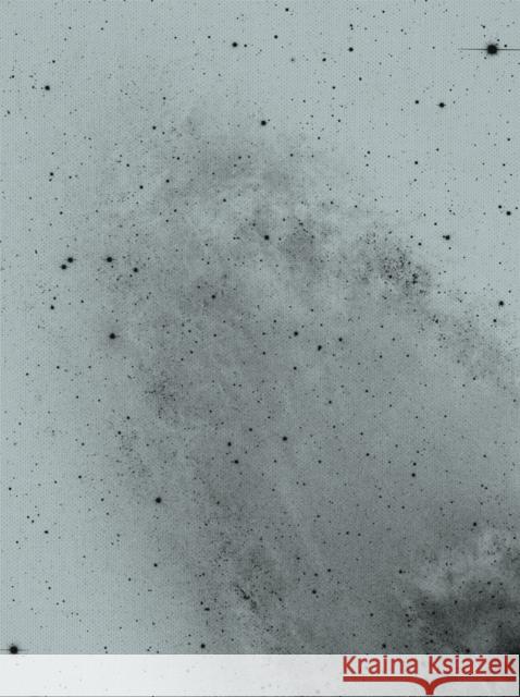 Florian Schwarz: A Handful of Dust Schwarz, Florian 9783735605917 Kerber Verlag