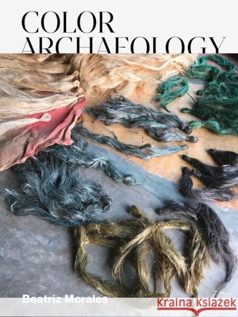 Beatriz Morales: Color Archaeology Morales, Beatriz 9783735607669