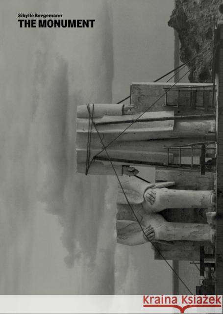 The Monument: Sibylle Bergemann Lily von Wild 9783735610454 Kerber Verlag