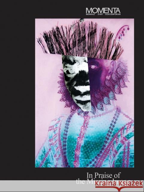 MOMENTA: In Praise of the Missing Image  9783735610485 Kerber Verlag