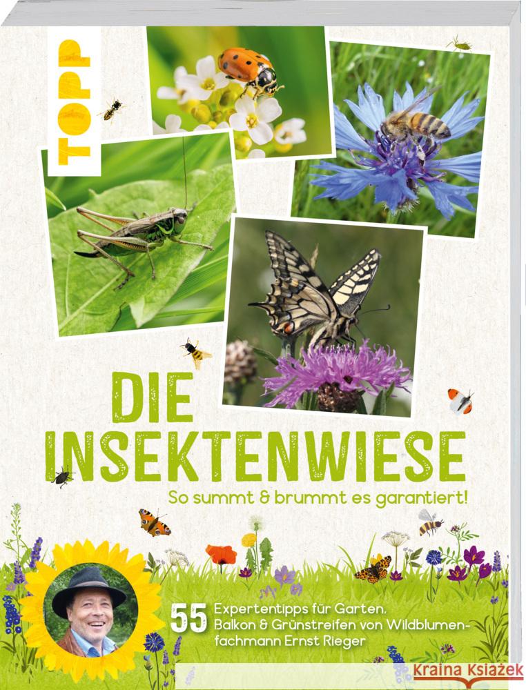 Die Insektenwiese: So summt & brummt es garantiert! Rieger, Ernst 9783735852137