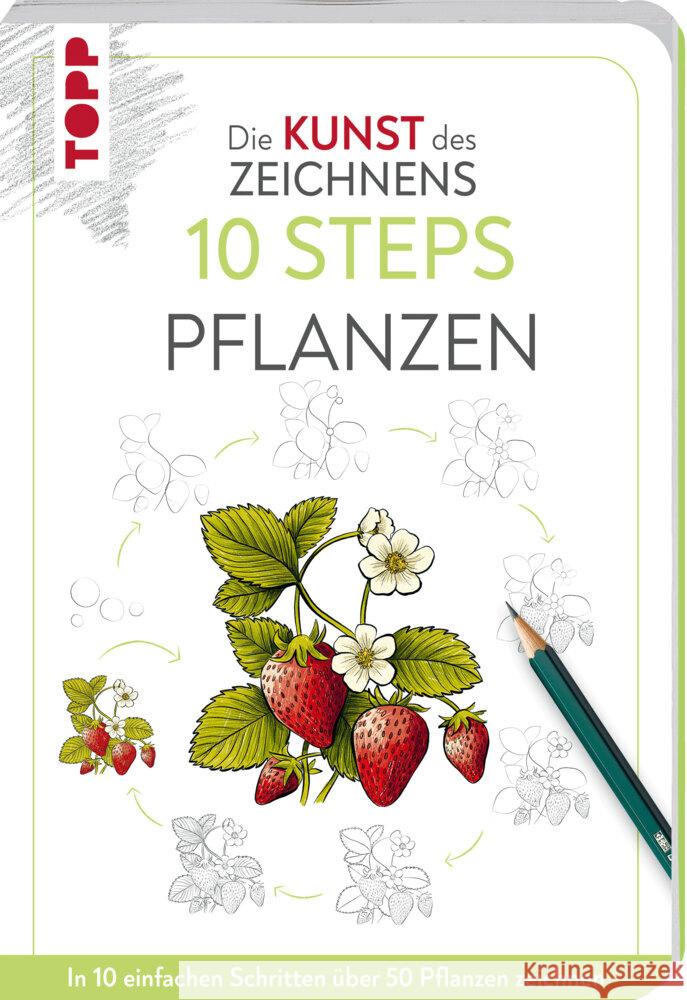 Die Kunst des Zeichnens 10 Steps - Pflanzen Lecouffe, Justine 9783735881892