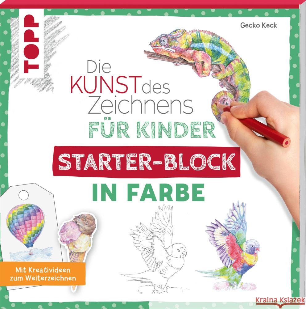 Die Kunst des Zeichnens für Kinder Starter-Block - In Farbe Keck, Gecko 9783735890870