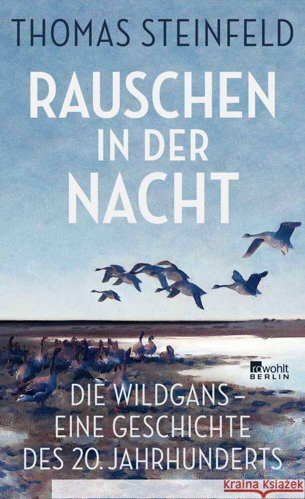 Rauschen in der Nacht Steinfeld, Thomas 9783737101974