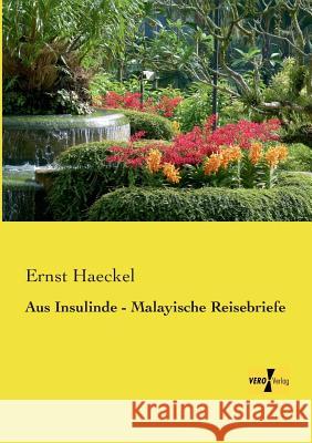 Aus Insulinde - Malayische Reisebriefe Ernst Haeckel 9783737201216 Vero Verlag