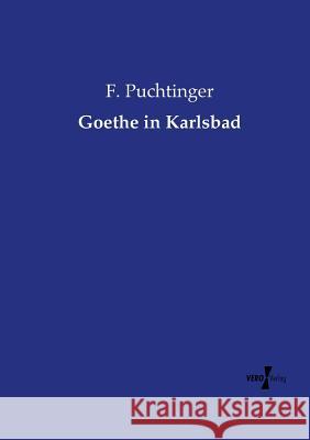 Goethe in Karlsbad F Puchtinger 9783737218849 Vero Verlag