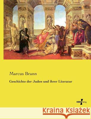 Geschichte der Juden und ihrer Literatur Brann, Marcus 9783737226783