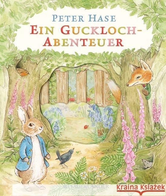 Peter Hase - Ein Guckloch-Abenteuer Potter, Beatrix 9783737355537 FISCHER Sauerländer